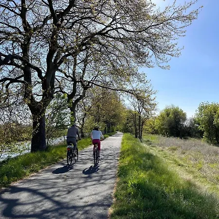 Апартаменты Chaleureux Au Cap D'agde *